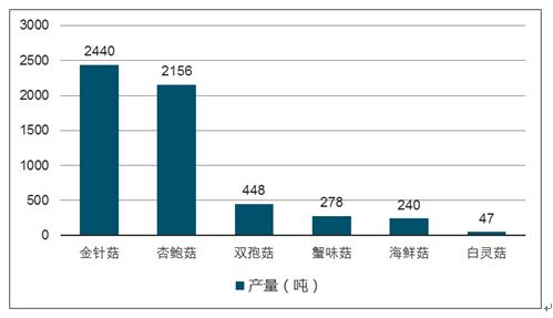 中国食用菌工厂主要产品日产量