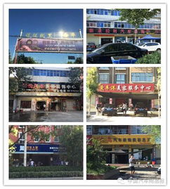 汽车用品报市场调研,走进北京,东莞,河南漯河市 许昌市,河北张家口